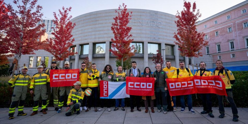 Aprobadas las leyes básicas de Bomberos y Bomberas Forestales y de Agentes Forestales y Medioambientales