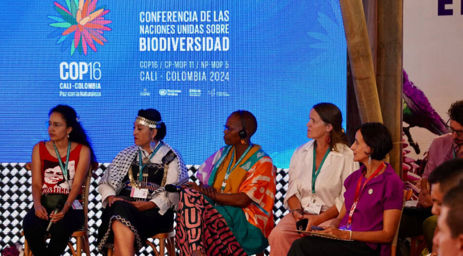 Ecologistas en Acción: «Los gobiernos centrales y autonómicos no están suficientemente comprometidos en detener la pérdida de biodiversidad en 2030»