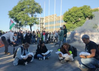 Más de un centenar de organizaciones denuncian ante la Aviation Week las complicidades de los gobiernos del PSC con el genocidio en Palestina