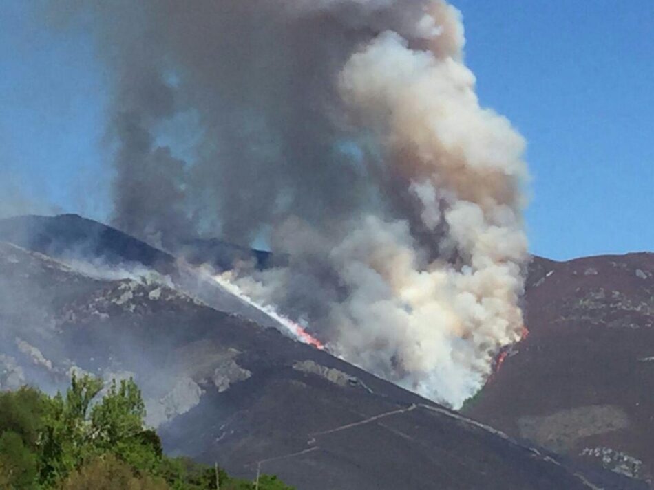 Coordinadora Ecoloxista d’Asturies: «El Principado no se toma en serio los Incendios Forestales»