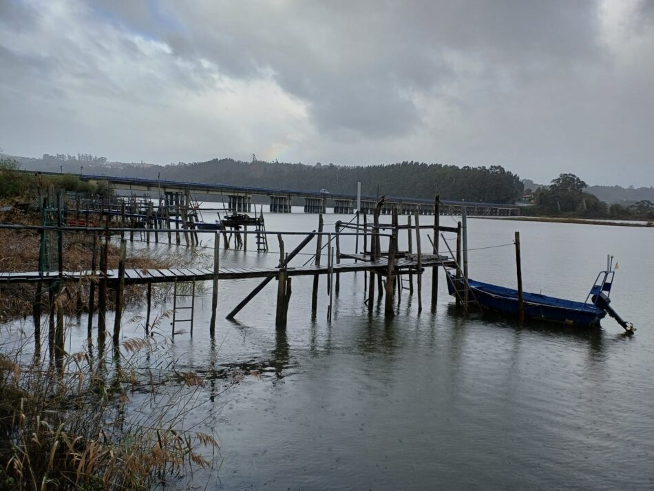 El Principado de Asturias amenaza el futuro de las anguilas de nuestros ríos, al seguir permitiendo la pesca de su cría, la angula de Oriente o Occidente