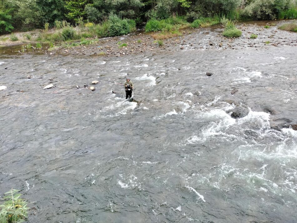 «El Principado de Asturias confirma que quiere acabar con los pocos peces de nuestros ríos»