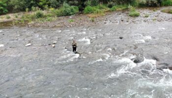 Coordinadora Ecoloxista d’Asturies: «No podemos permitir que se pesquen los últimos salmones de nuestros ríos»