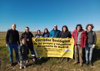 Tres columnas marcharán por el Corredor Ecológico del Suroeste en defensa del territorio frente a los grandes desarrollos urbanísticos