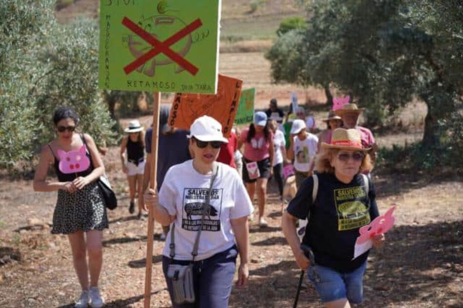 Las plataformas vecinales contra las macrogranjas celebran su quinto encuentro estatal en Retamoso de la Jara