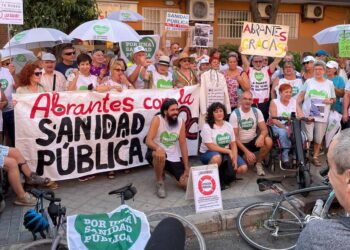 Varios colectivos en defensa de la Sanidad Pública intervienen en el examen sobre Derechos Humanos al que se someterá España el próximo mes de abril