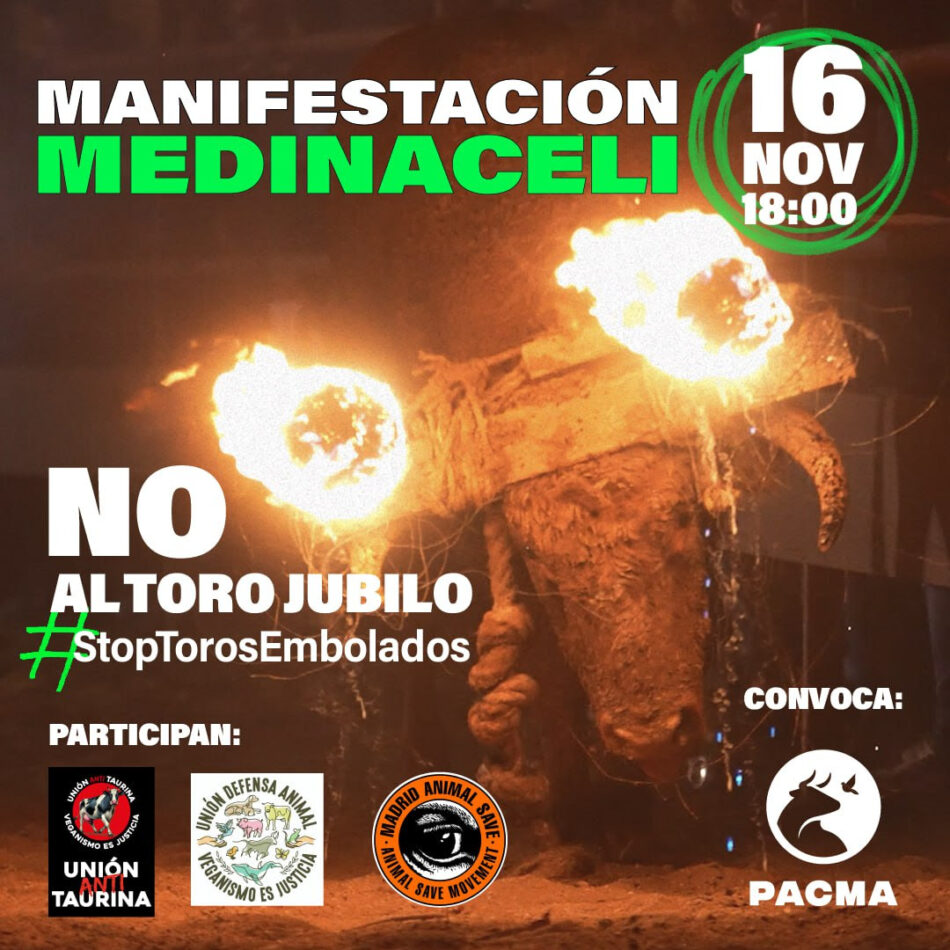 PACMA se manifestará contra el Toro Júbilo el 16 de noviembre en Medinaceli