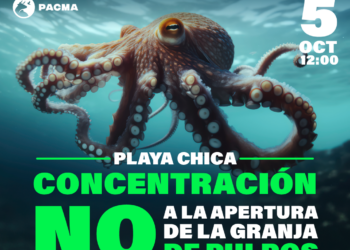 PACMA y PETA, junto con el apoyo de Greenpeace, Anima Naturalis y Ben Magec, convocan un acto contra la granja de pulpos en Las Canteras