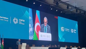 Cuba destaca valor de lucha contra el cambio climático en COP29