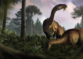 Excrementos fósiles de dinosaurio dan nuevas pistas sobre por qué llegaron a dominar la Tierra