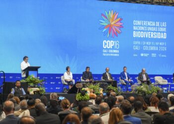 COP16 aprueba la creación de un órgano subsidiario para comunidades locales