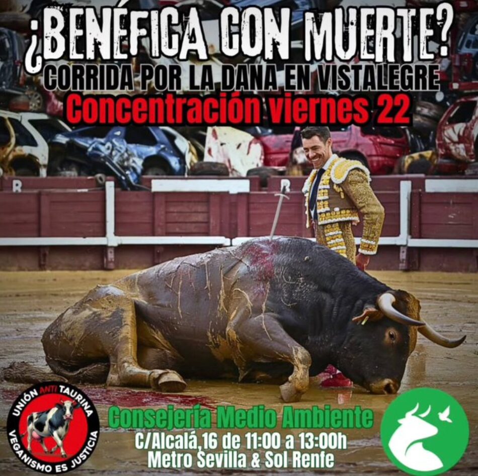 PACMA condena el uso de la tauromaquia en un evento benéfico por la DANA y llama a la movilización ciudadana en Madrid