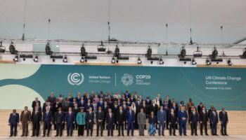 Baku + Cali = La Doble Farsa del Ecologismo. Cumbres del Negacionismo al Servicio del Lobby Ganadero-Pesquero y del Greenwashing