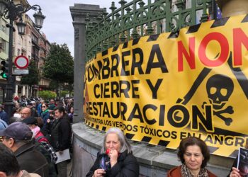 Decenas de personas acuden a la concentración frente a la Xunta Xeneral del Principado de Asturies contra la incineración de residuos en Mieres y los vertidos tóxicos en Lada