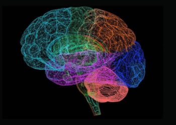 Vivir desastres naturales como una DANA durante el embarazo afecta al desarrollo cerebral de los recién nacidos