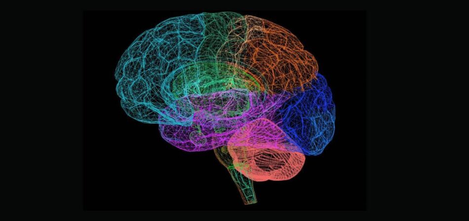 Vivir desastres naturales como una DANA durante el embarazo afecta al desarrollo cerebral de los recién nacidos