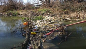 Verdes Equo y Más Madrid presentan una propuesta en el Congreso para renaturalizar el río Jarama, cuyo deterioro amenaza la seguridad ciudadana 