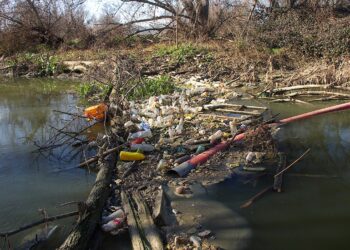 Verdes Equo y Más Madrid presentan una propuesta en el Congreso para renaturalizar el río Jarama, cuyo deterioro amenaza la seguridad ciudadana 