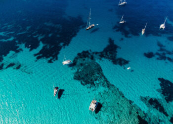 La Posidonia Oceánica en Ibiza: un tesoro natural en peligro