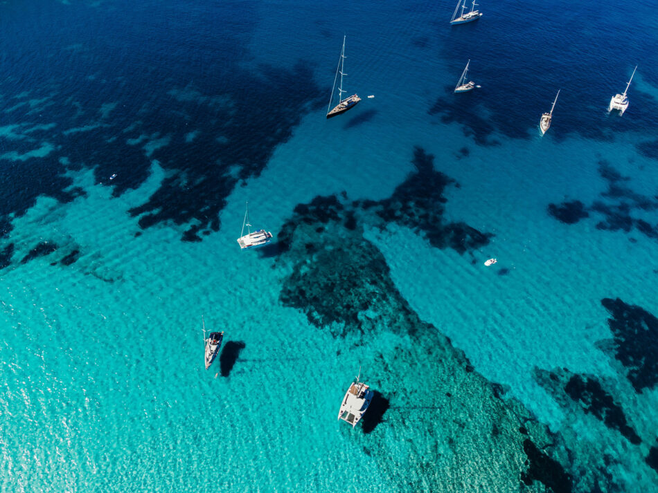 La Posidonia Oceánica en Ibiza: un tesoro natural en peligro