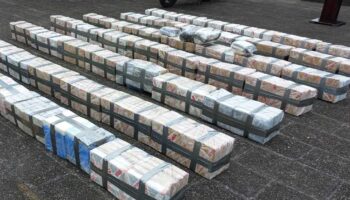 Incautadas más de 220 toneladas de cocaína en operación multinacional