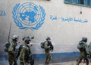 Jefe de la UNRWA pide al mundo defensa contra el régimen de Israel