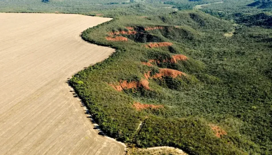 La deforestación disminuye en la sabana y la selva amazónica de Brasil, pero el objetivo cero sigue estando lejos