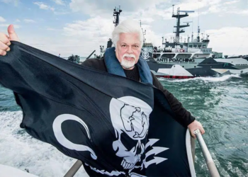 Alianza Verde pide al gobierno de España que apoye la solicitud de asilo político de Paul Watson en Francia 