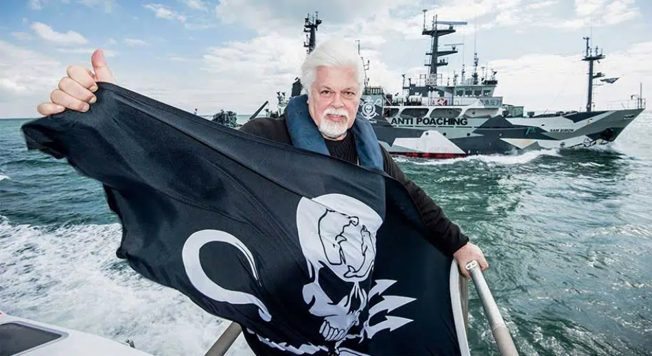 Alianza Verde pide al gobierno de España que apoye la solicitud de asilo político de Paul Watson en Francia 