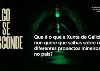 «Rexeitamos a tentativa da Xunta de expulsar as organizacións ecoloxistas e as comunidades de montes veciñais do Consello da Minería de Galicia»