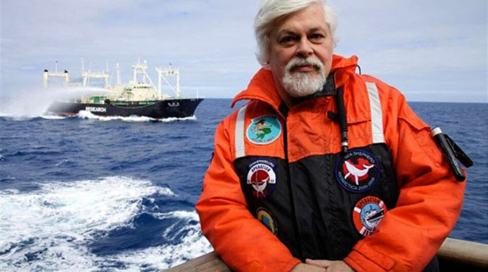 PACMA insta a Pedro Sánchez a apoyar el asilo en Francia del activista Paul Watson, detenido por salvar ballenas en Japón