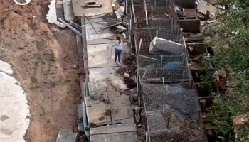 Indignación en redes tras hallarse en el cauce de un barranco una rehala de perros arrasada por la DANA