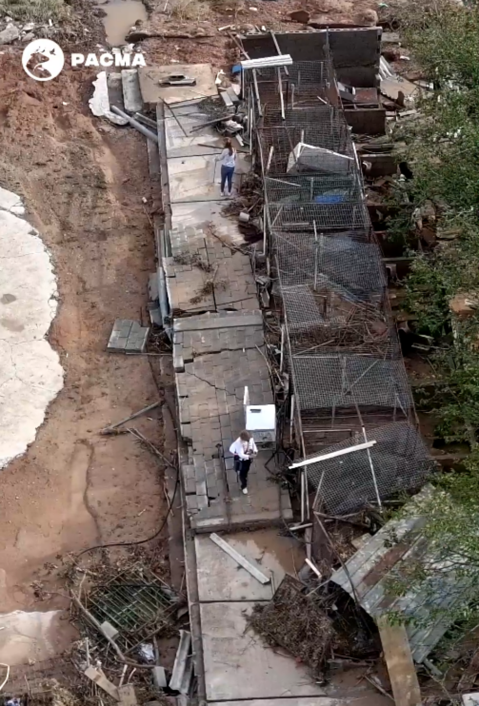 Indignación en redes tras hallarse en el cauce de un barranco una rehala de perros arrasada por la DANA