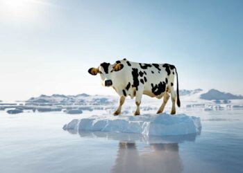 COP29 : El metano, potente gas de efecto invernadero que el Gobierno español ha ignorado en el PNIEC