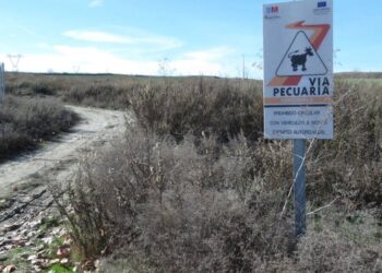 Tratan de impedir el uso normalizado de las vías pecuarias al sur de Oteruelo del Valle