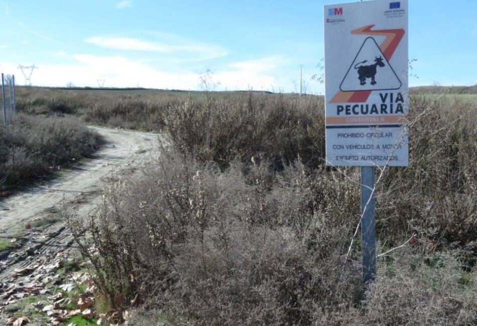 Tratan de impedir el uso normalizado de las vías pecuarias al sur de Oteruelo del Valle