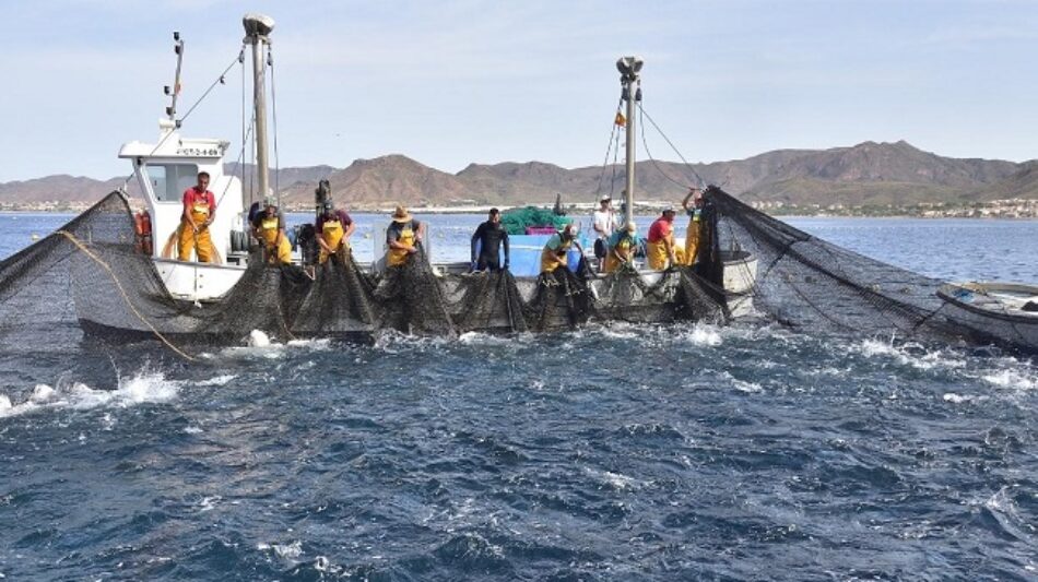 Alianza Verde denuncia que la crisis actual de la pesca en el Mediterráneo es consecuencia de años de inacción de las administraciones, pero advierte de que la propuesta de la Comisión Europea es devastadora 