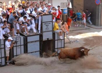 Animalistas presentan recurso por la muerte de dos toros en El Puig (Valencia)