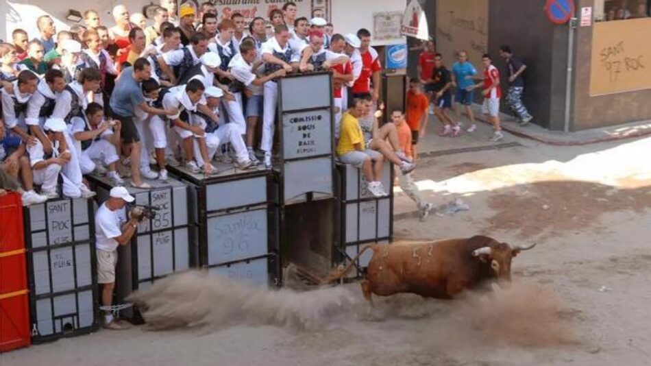 Animalistas presentan recurso por la muerte de dos toros en El Puig (Valencia)