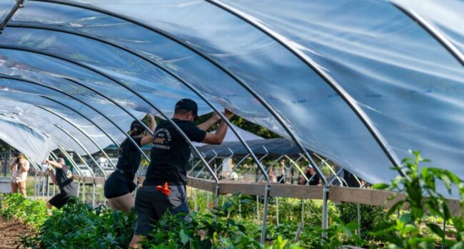 Advierten del impacto de los pesticidas en la salud de los agricultores de invernadero