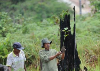 Noruega premia a Indonesia por reducir significativamente la deforestación