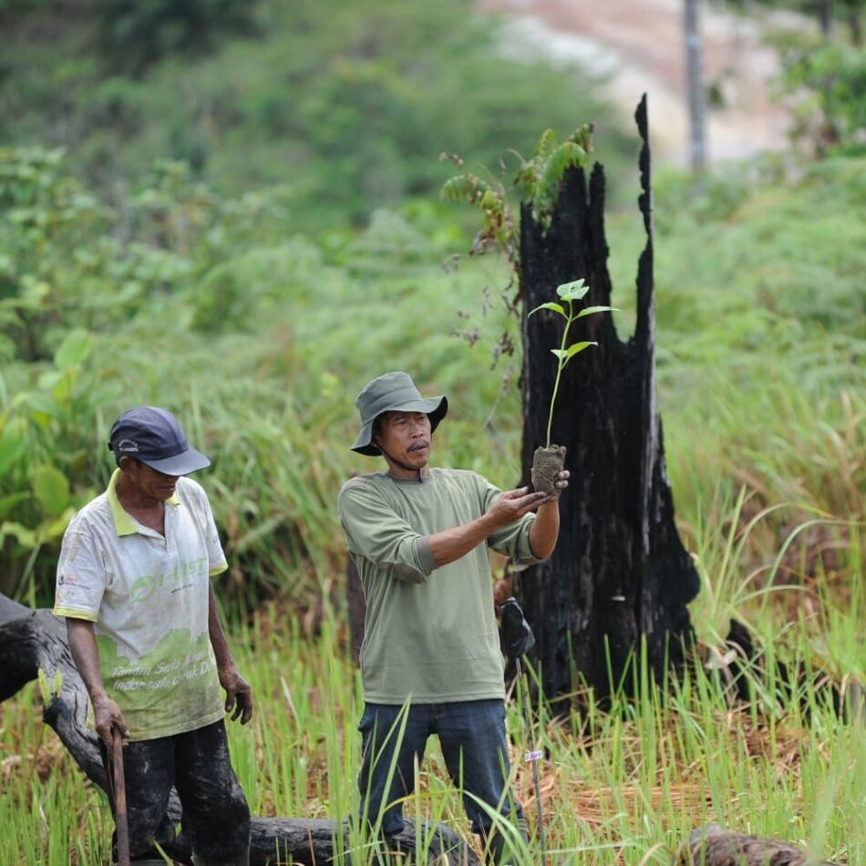 Noruega premia a Indonesia por reducir significativamente la deforestación