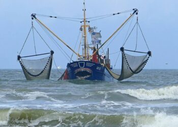 Hacia una transición en la pesca: el recorte del arrastre en el Mediterráneo