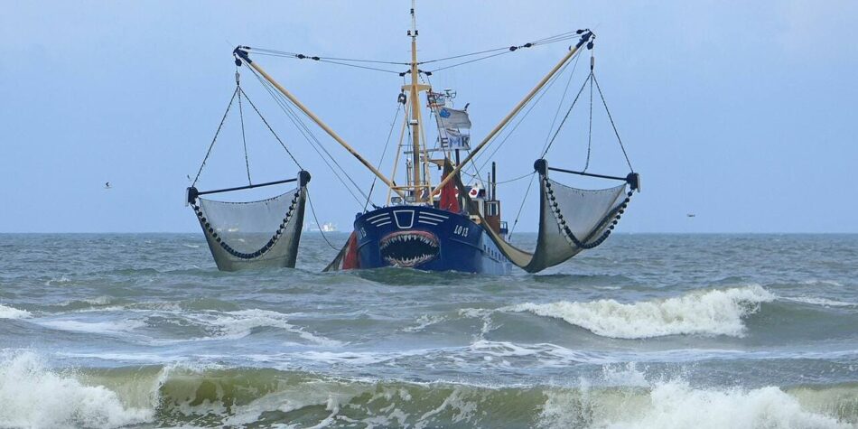 Hacia una transición en la pesca: el recorte del arrastre en el Mediterráneo