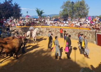 PACMA lleva a los tribunales dos festejos taurinos presuntamente ilegales celebrados en Villavieja del Lozoya