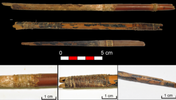 Las sociedades neolíticas ibéricas tenían un conocimiento profundo de técnicas y materiales para el tiro con arco