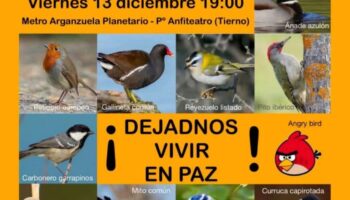 Nueva manifestación contra el daño medioambiental de los eventos en el parque Enrique Tierno Galván