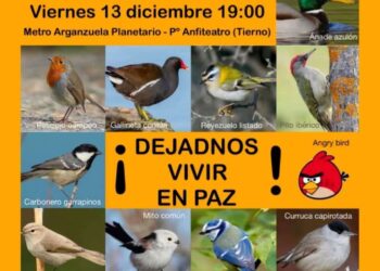 Nueva manifestación contra el daño medioambiental de los eventos en el parque Enrique Tierno Galván