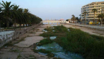 Ecologistas en Acción exigen paralizar la eliminación de la vegetación de ribera en ríos y arroyos por parte de la Consejería de Medio Ambiente de Melilla