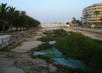 Ecologistas en Acción exigen paralizar la eliminación de la vegetación de ribera en ríos y arroyos por parte de la Consejería de Medio Ambiente de Melilla